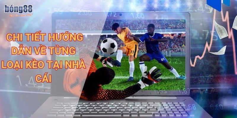  Chi tiết hướng dẫn về từng loại kèo tại nhà cái